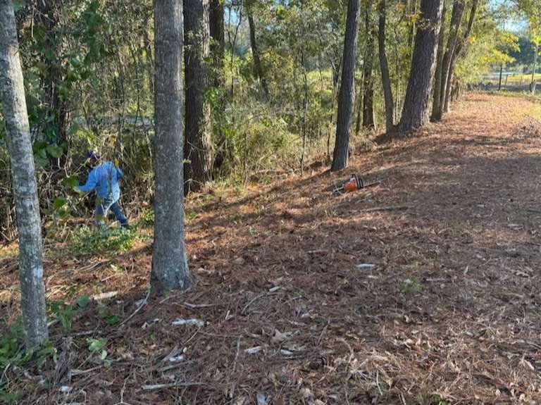 Santana Lawn Care  LLC